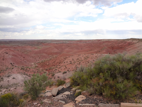 Park Road in the Painted Desert